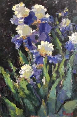 �����. ������ �����