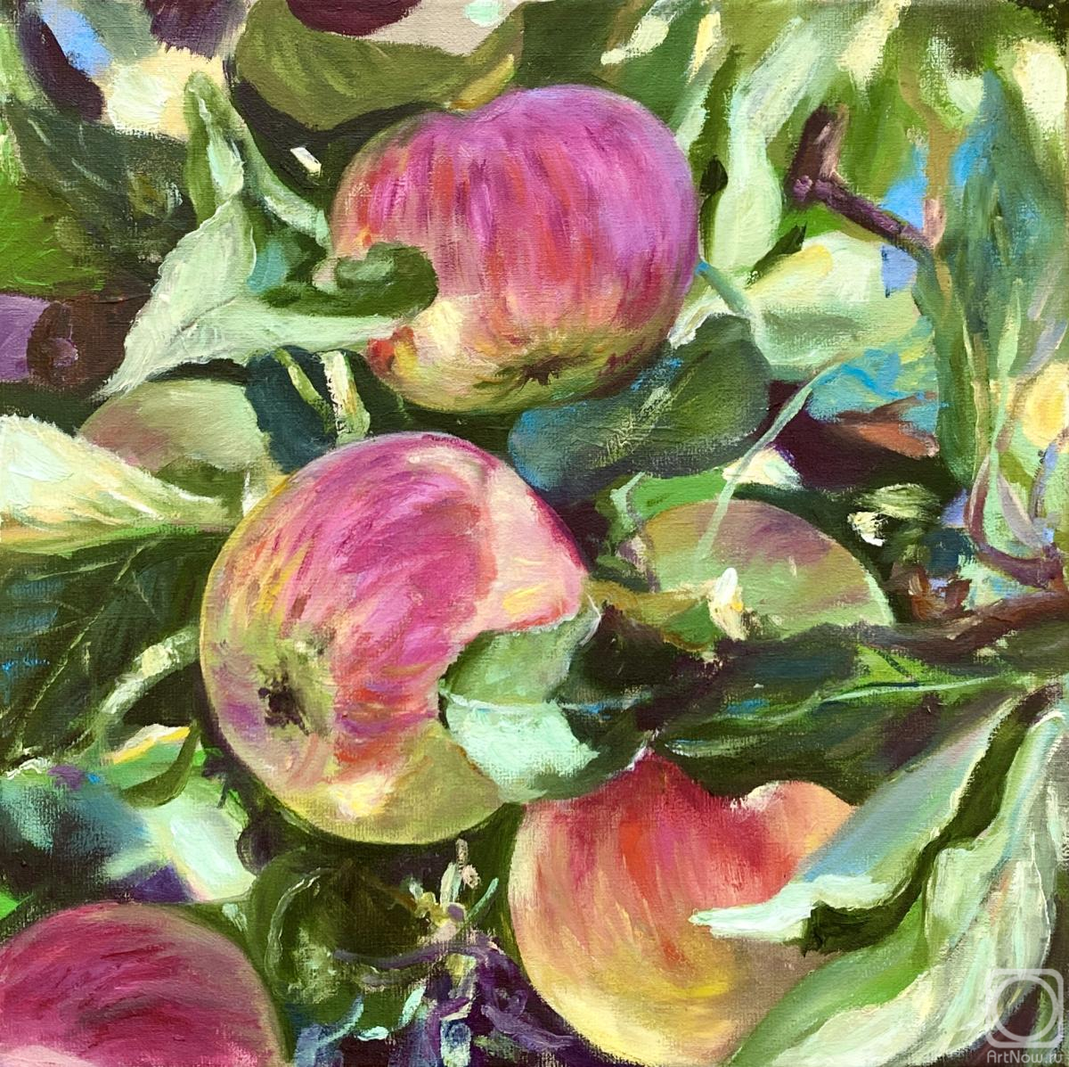 ������� ������ �� ������. ��������� �������. �������� �����