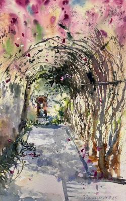Bougainvillea Tunnel #2. Gorbacheva Evgeniya