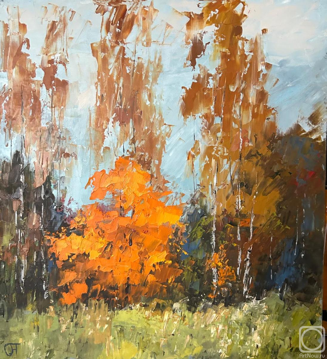 ������� ������ �� ������. ���������� ����. ��������� ���