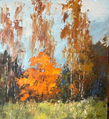 ��������� ��� (������ ������ �������). ���������� ����