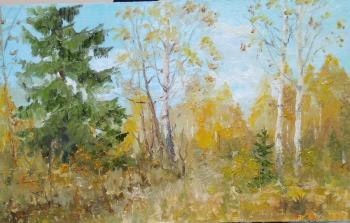 ������� ������ �����������