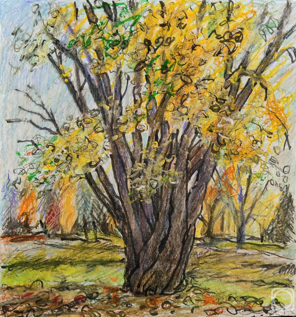 �������. �������� ������. �������