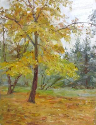 ������� ����� � �����