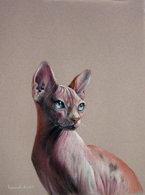 ������. ����� ������������ (���������). ��������� ���������