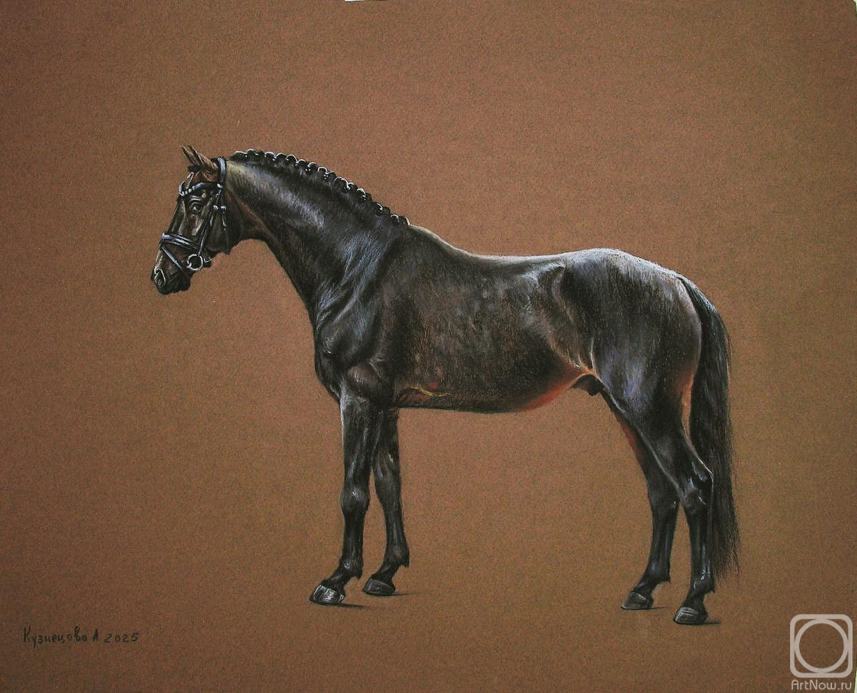 �������. ��������� ���������. ������