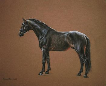 ������. ��������� ���������