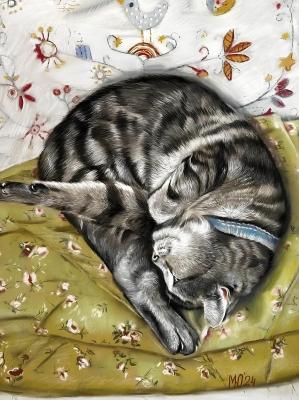 �������� ����� (�������� ���������). �������� ����