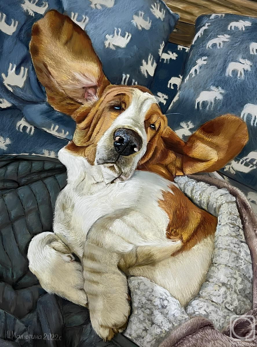 �������. �������� ����. ������