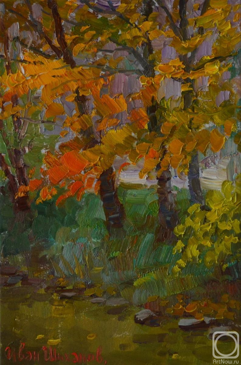 ������� ������ �� ������. ������� ����. ������ �������