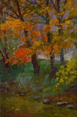 ������� ���� ����������. ������ �������