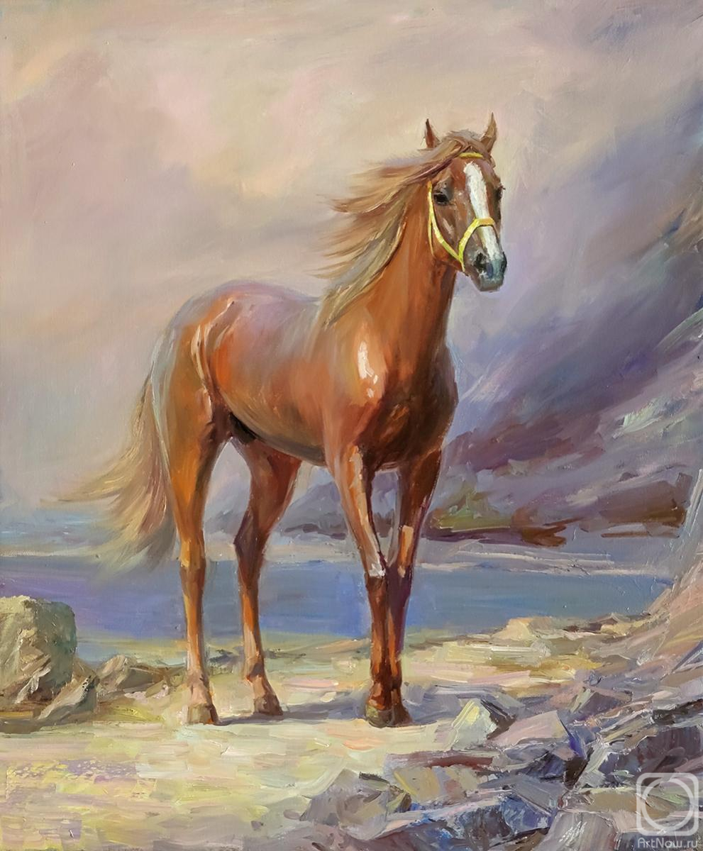 Murtazin Ildus. Untitled