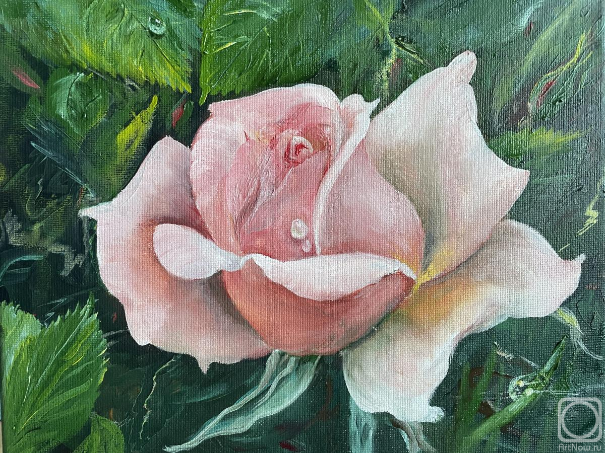 ������� ������ �� ������. ���������� �������. ���� ����� �����