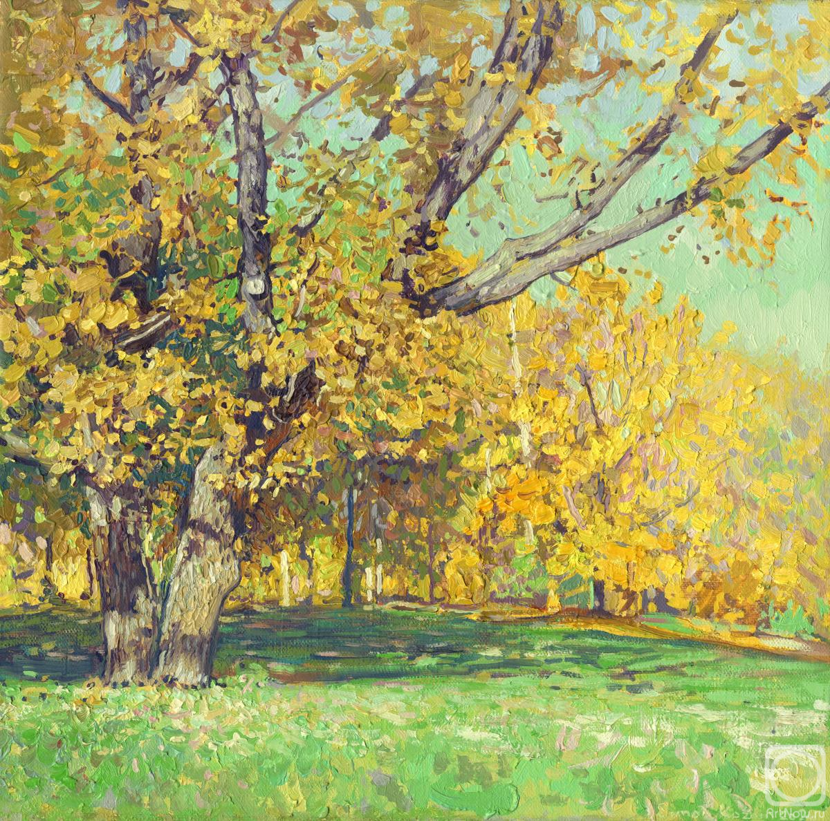 Kozhin Simon. Oak tree in Tsaritsyno in October