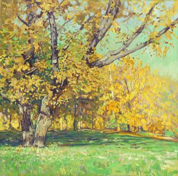 Oak tree in Tsaritsyno in October. Kozhin Simon