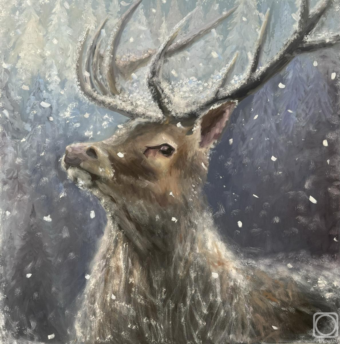 ������� ������ �� ������. ������ ������. ������ �����