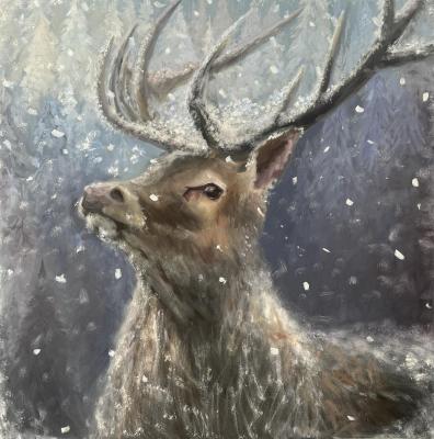 Proud deer. Morina Galina