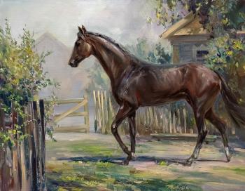 Horse, race, village, settlement, summer, yard, horse, year of the horse