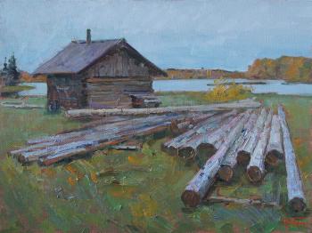 Old logs. Panov Igor