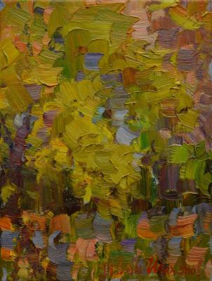 ������� ���� ����������. ������� ��������