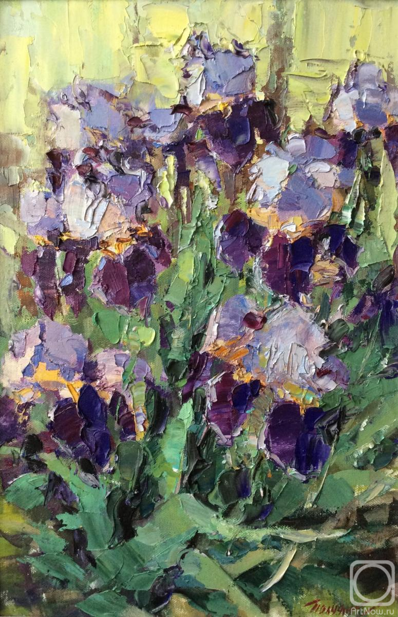 ������� ������ �� ������. ������ �����. ����� � ����