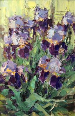 Irises in the garden. Poluyan Yelena