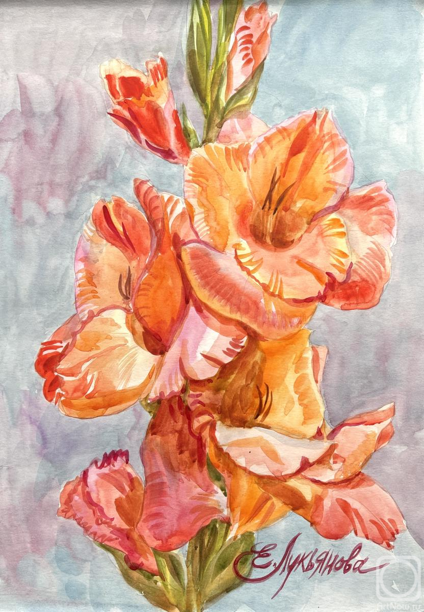 �������. ��������� ���������. ���� ����������