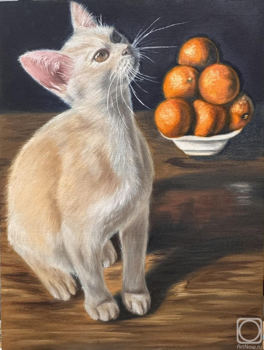 ������� ������ �� ������. ������� �������. ���. �������