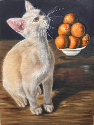 ���. �������. ������� �������