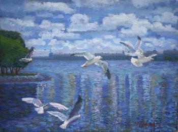 ����������. ����