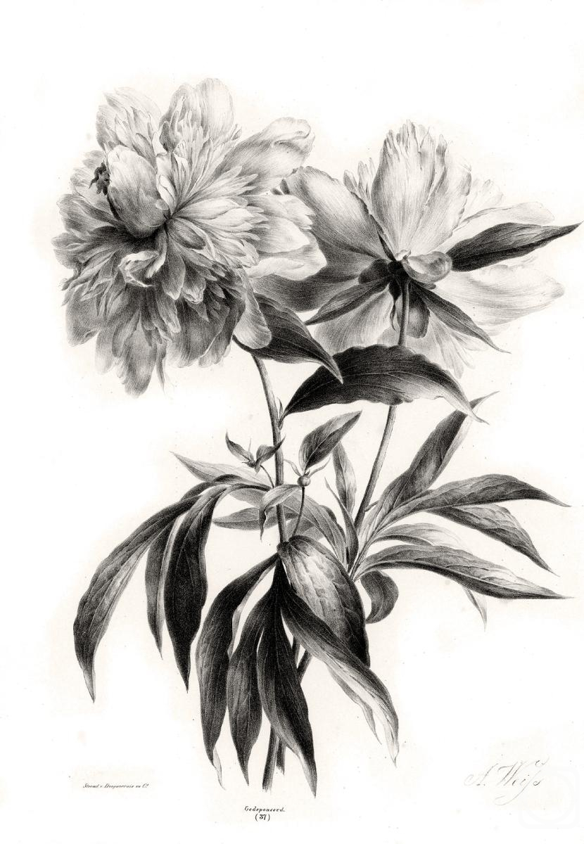 �������. ��������� ������. ����� � �������