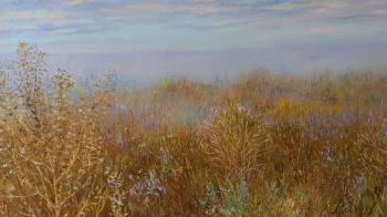 ���� ���� ����