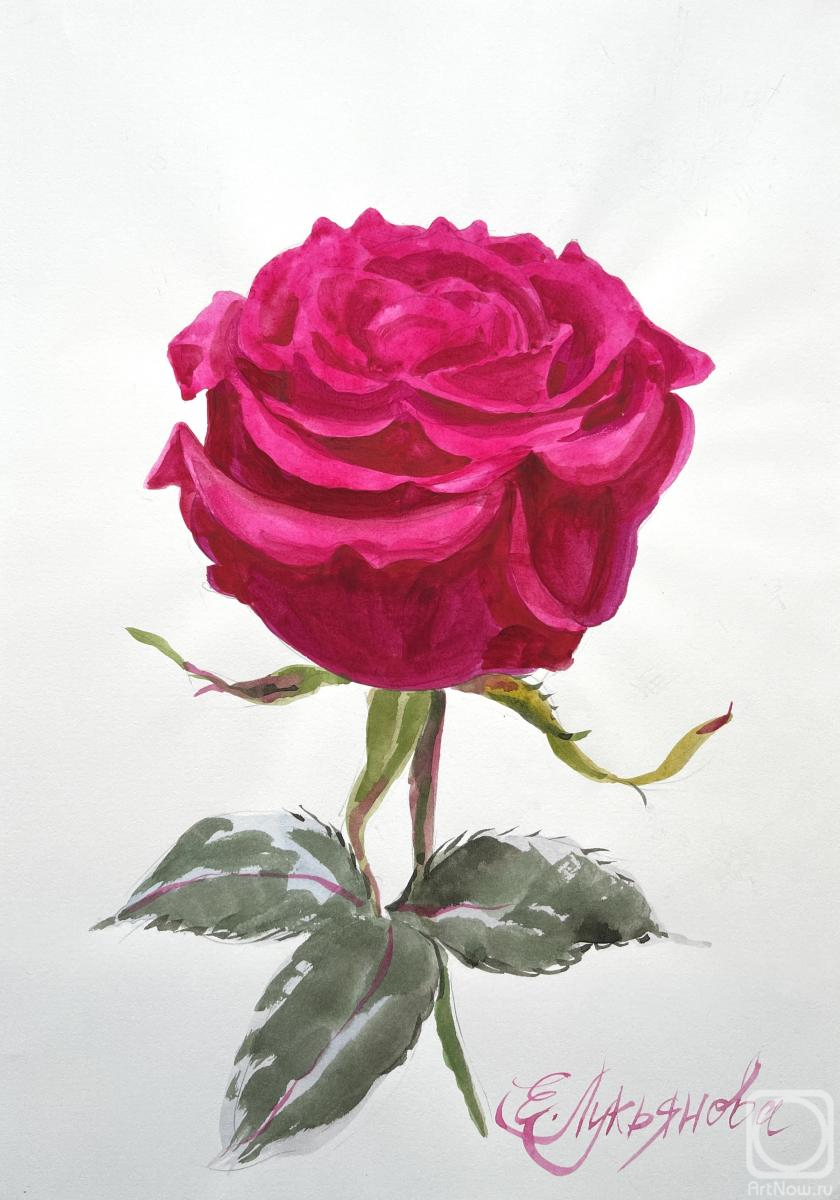 �������. ��������� ���������. ����� ����