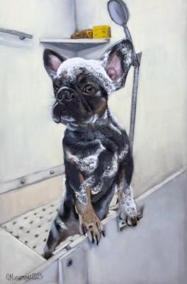 French Bulldog Puppy in the Bath. Malyutina Yuliya