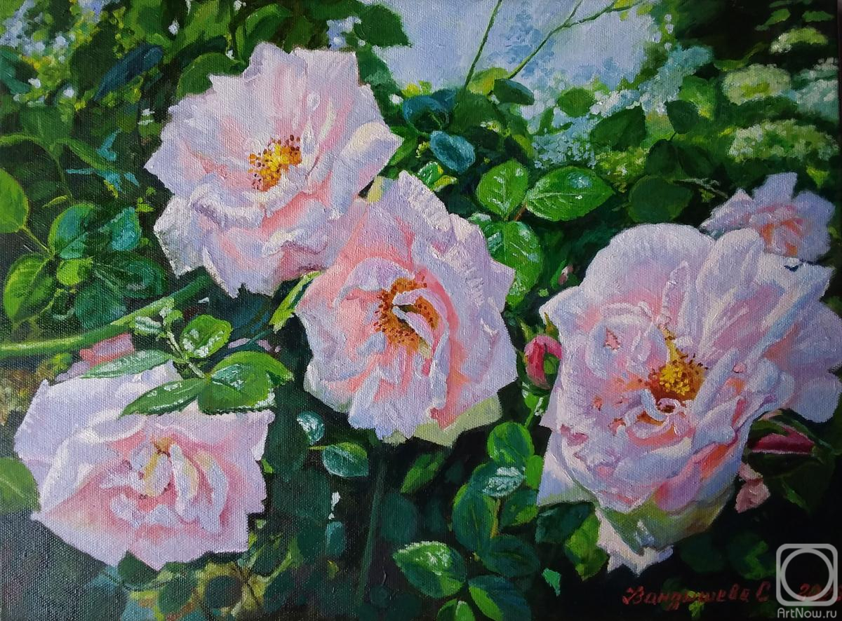 ������� ������ �� ������. ��������� ��������. ����