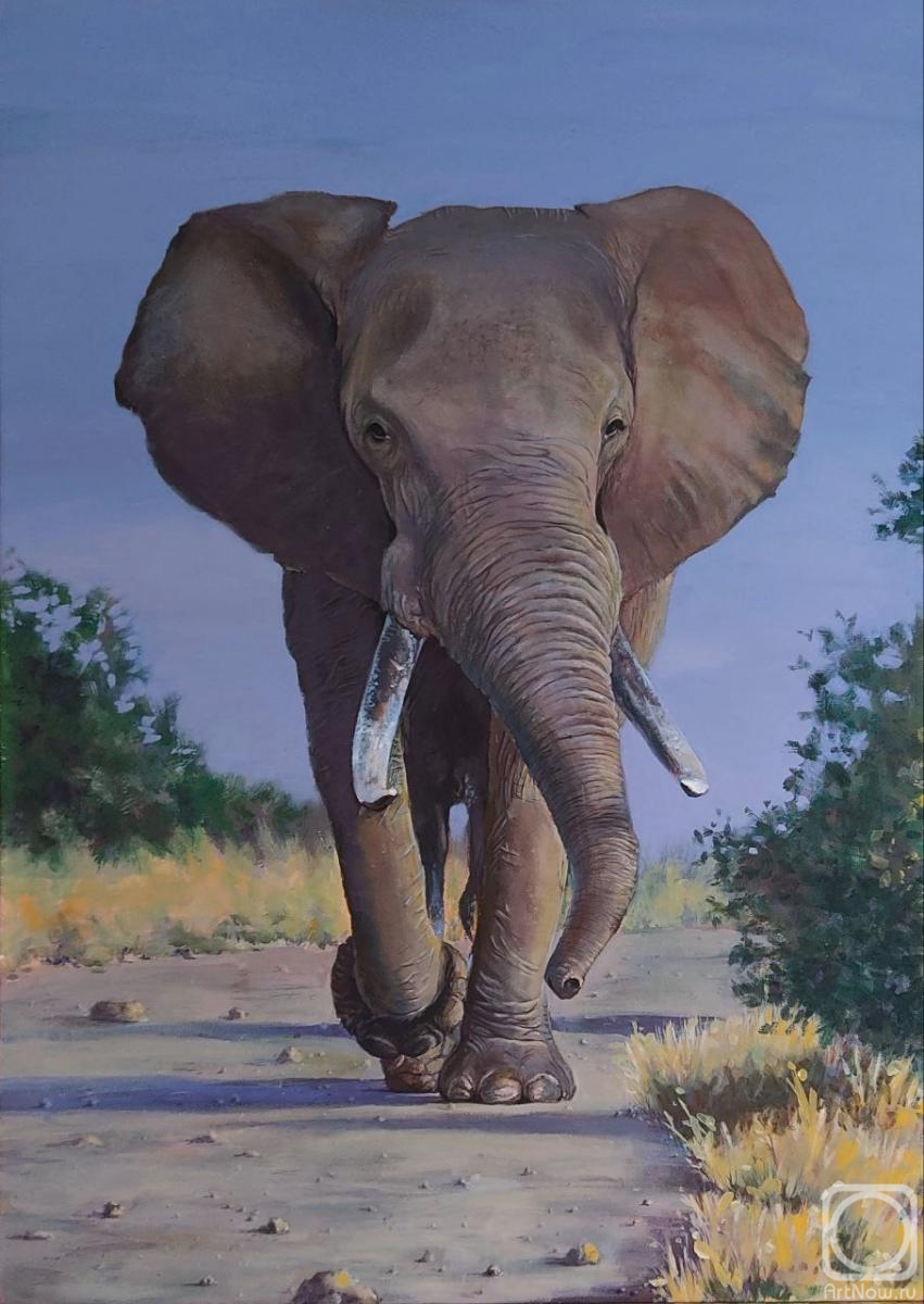 �������. ������� �������. �������� ��������