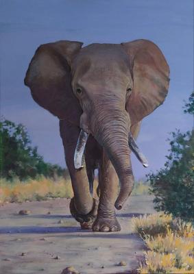 �������� ��������