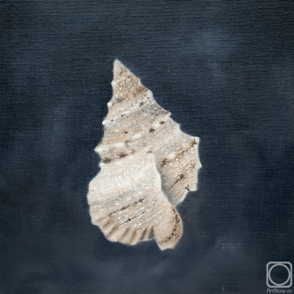 ������� ������ �� ������. ������� �����. ������