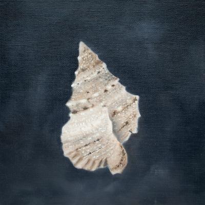 ������. ������� �����