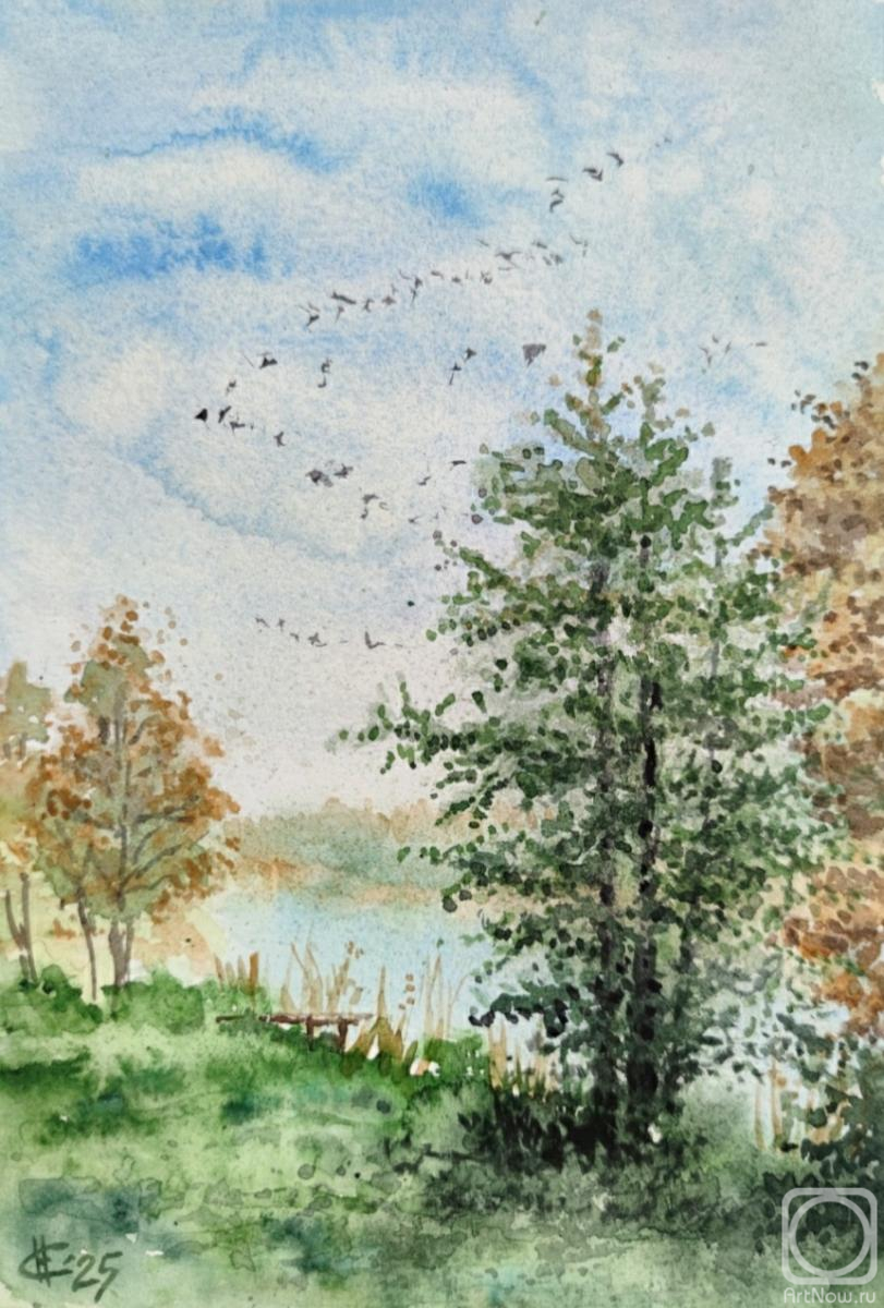 �������. ������ �������. ������ �����