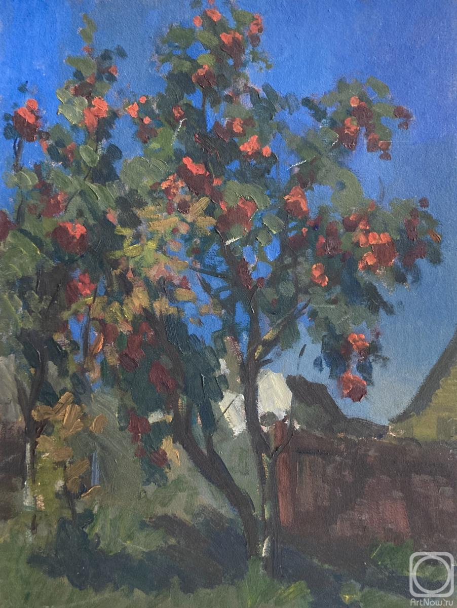 �������. �������������� ������. ������