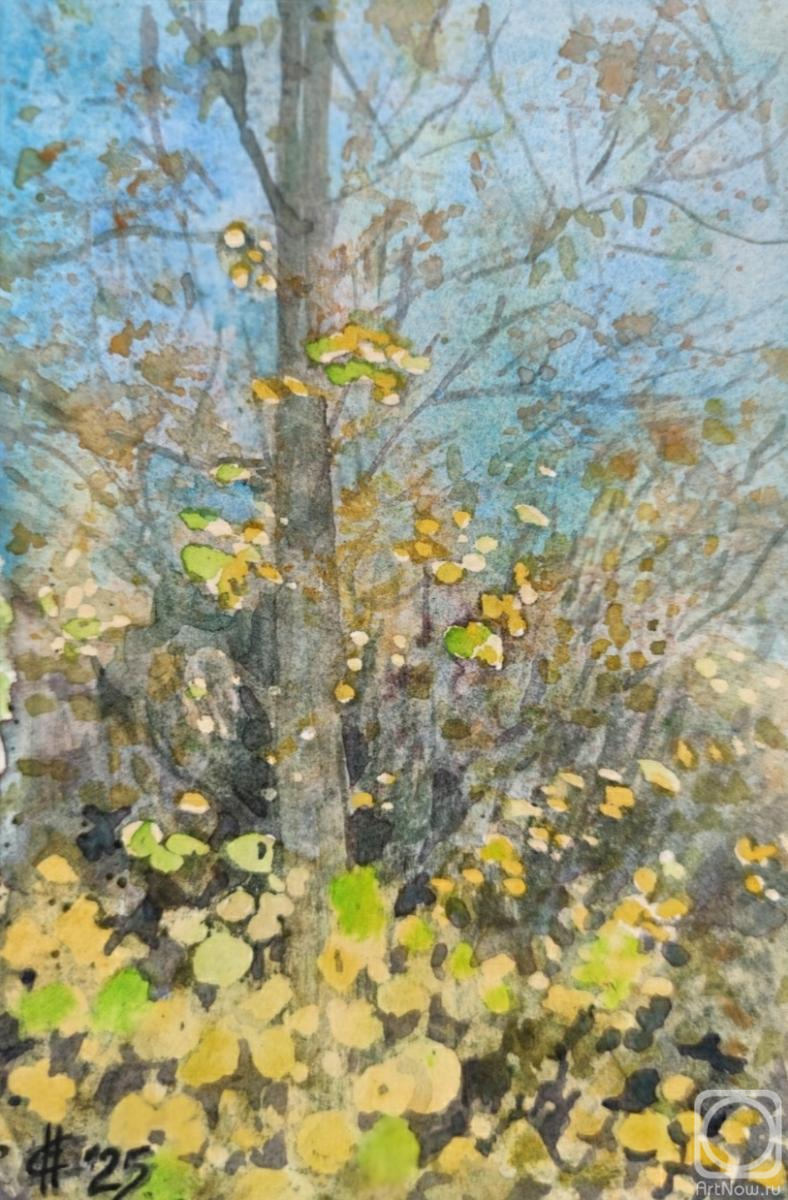 �������. ������ �������. ������� ������