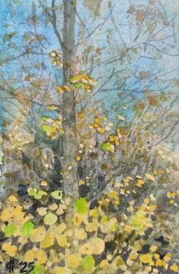 ������� �������� �������