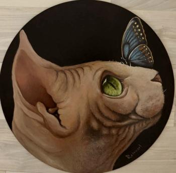 ������� ��������