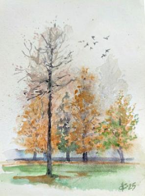 ������� ������ ������