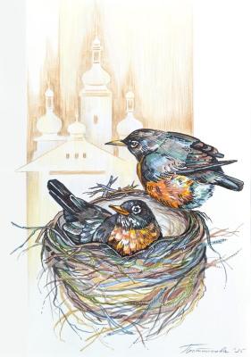 Untitled. Plotnikova Ekaterina