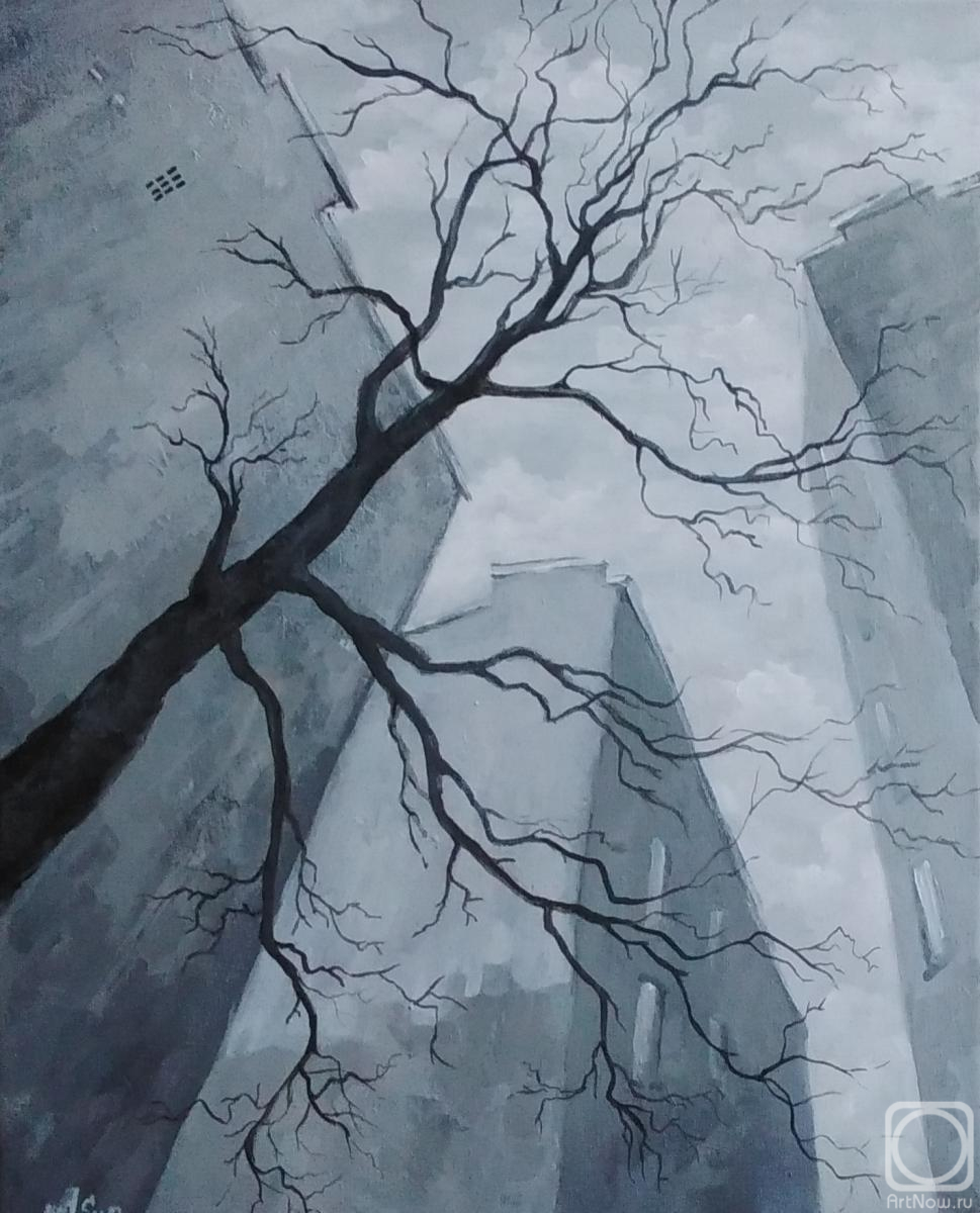 �������. �������� ���������. ����� �����