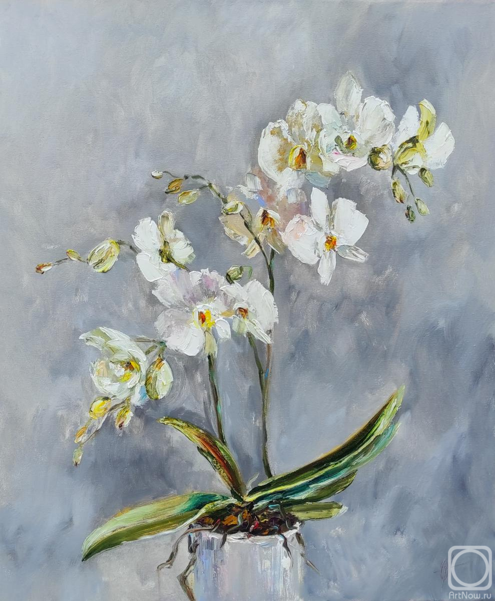 ������� ������ �� ������. ����������� �����. ����� �������