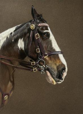 ������ ���������� ������� (������ ���������). �������� ����