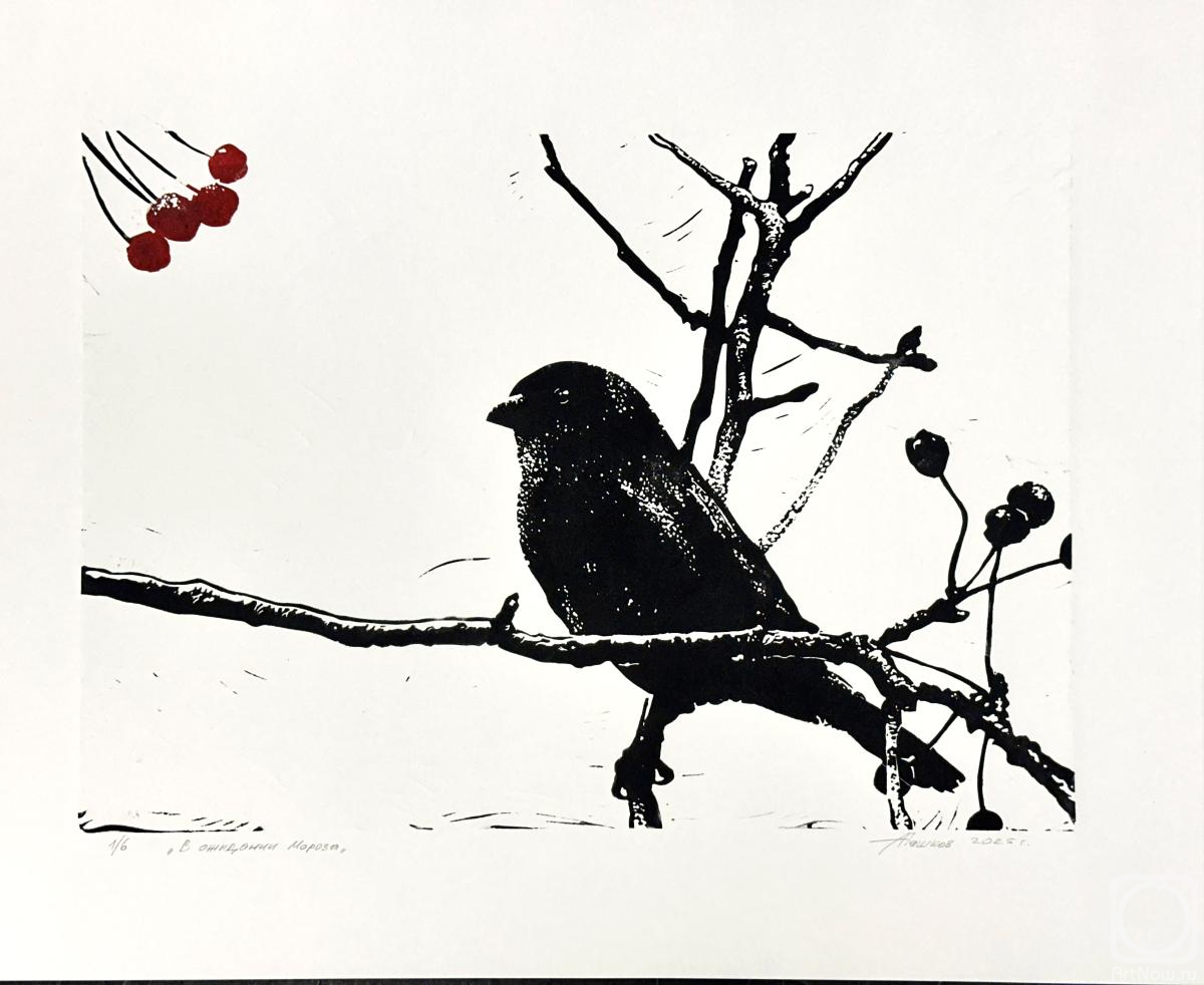 Pashkov Aleksandr. Untitled